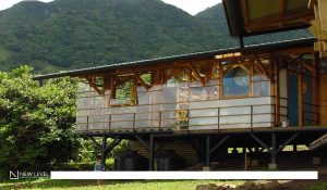Designing with Humidity: How Architecture Adapts to the World’s Dampest ...