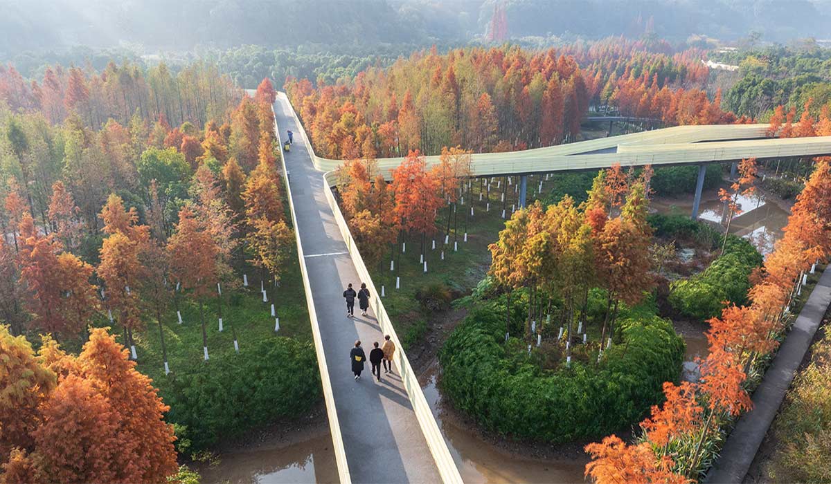 کوریدور اکولوژیک پروژه Embracing Flood در رودخانه سین‌کیانگ، طراحی شده توسط Turenscape و برنده جایزه لنداسکیپ ۲۰۲۵